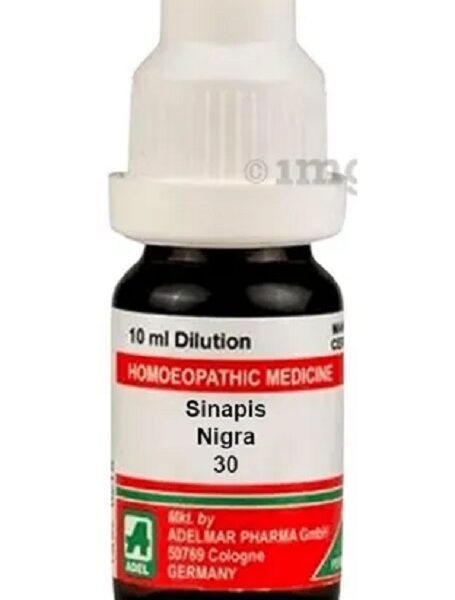 Adel Germany Homeopathic Sinapis Nigra Dilution for headache diabetes itching