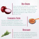 Aegte Organic Onion Hair Oil (100 ml) For Hair Growth And Hair Fall Control With Red Onion Extract - Image 3