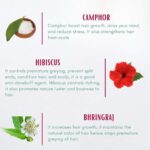 Aegte Organic Onion Hair Oil (100 ml) For Hair Growth And Hair Fall Control With Red Onion Extract - Image 4