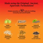 Baidyanath Chyawanprash (Special) (500g) For OmniProtection - Image 4