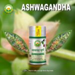 Basic Ayurveda Ashwagandha Churna 100g For nourishing the tissues, immune system, stress - Image 2
