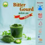 Basic Ayurveda Bitter Gourd Juice 500 ml For Immunity and Digestion, blood sugar levels and bad cholesterol levels. - Image 3