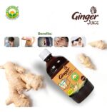 Basic Ayurveda Ginger Juice 500 ml For digestion, loss of appetite and motion sickness, bad breath - Image 5