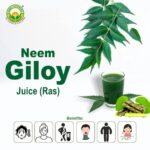 Basic Ayurveda Neem Giloy Juice 500 ml For fever, cold, and cough, immune strength - Image 4