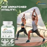 DR. MOREPEN Gokshura Tablets 60 Veg Tablets For desire and drive in men, performance, stamina - Image 2