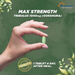 DR. MOREPEN Gokshura Tablets 60 Veg Tablets For desire and drive in men, performance, stamina - Image 5