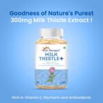 DR. MOREPEN Milk Thistle+ 60 Capsules For fat metabolism, gut health, Weight Management - Image 2