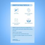 DR. MOREPEN Milk Thistle+ 60 Capsules For fat metabolism, gut health, Weight Management - Image 6