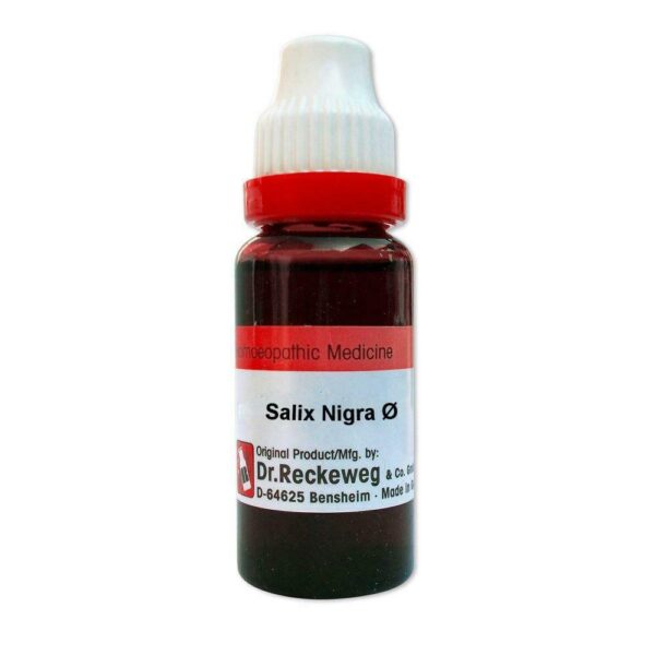 Dr. Reckeweg Salix Nigra Mother Tincture (Q) (20ml) for hair root problems hair fall