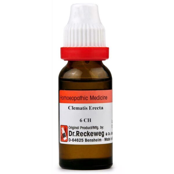 Dr Reckeweg Clematis Erecta Dilution 11ml for headache swelling eczema itchiness