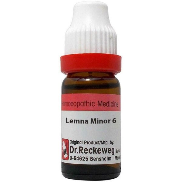 Dr Reckeweg Homeopathic Lemna Minor Dilution (Q) 20ml for Throat swelling diarrhoea