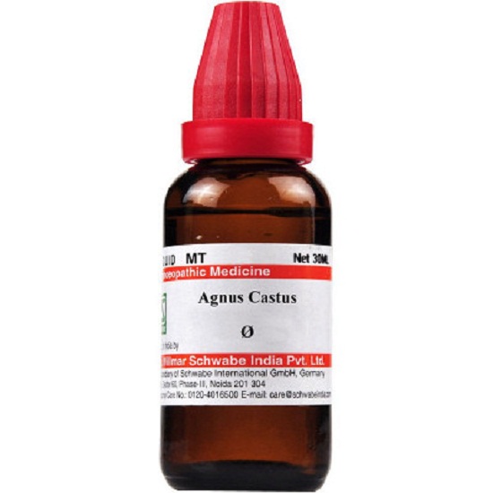 Dr Willmar Schwabe India Agnus Castus Mother Tincture 1X (Q) (30ml) for anxiety depression