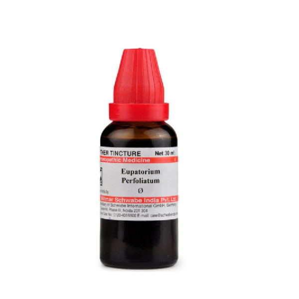 Dr Willmar Schwabe India Homoeopathic Eupatorium Perfoliatum 1X (Q) 30ml for bone pains headaches vertigo vomiting gout
