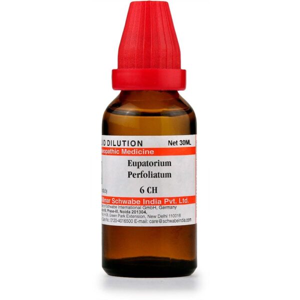 Dr Willmar Schwabe India Homoeopathic Eupatorium Perfoliatum Dilution 30ml for bone pain Gout