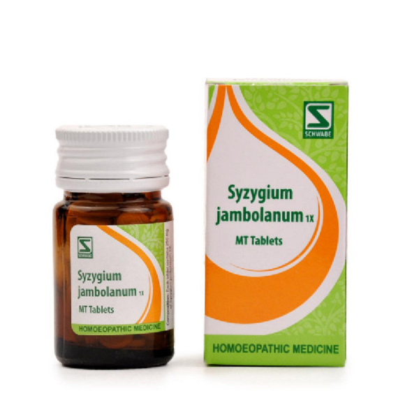 Dr Willmar Schwabe India Homoeopathic Syzgium Jambolanum 1X MT Tablets (20gm) for Diabetes