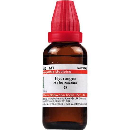 Dr Willmar Schwabe India Hydrangea Arborescens Mother Tincture 1X (Q) (30ml) for urinary disorders kidneys care