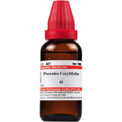 Dr Willmar Schwabe India Psoralea Corylifolia Mother Tincture (Q) (30ml) for indigestion asthma cough