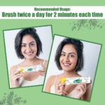 Dr. Morepen Active Smile Herbal Toothpaste (100gm) Enriched with 17 Powerful Herbs For protection to teeth and gums - Image 6