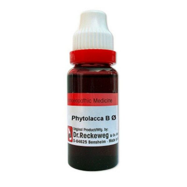Dr.Reckeweg Phytolacca Berry Mother Tincture 1X (Q) (20ml) for digestion composition weight loss