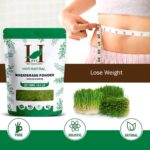 H&C Herbal Ingredients Expert 100% Natural Wheat grass (Triticum Aestivum) Powder - 227g | Ayurvedic Nutrition and Builds Immunity - Image 3