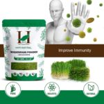 H&C Herbal Ingredients Expert 100% Natural Wheat grass (Triticum Aestivum) Powder - 227g | Ayurvedic Nutrition and Builds Immunity - Image 4