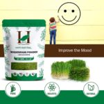H&C Herbal Ingredients Expert 100% Natural Wheat grass (Triticum Aestivum) Powder - 227g | Ayurvedic Nutrition and Builds Immunity - Image 6