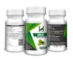 H&C Herbal Ingredients Amla Capsules (120 Capsules)-For Immunity, Skin Care, Hair Growth - Image 2