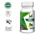 H&C Herbal Ingredients Amla Capsules (120 Capsules)-For Immunity, Skin Care, Hair Growth - Image 3