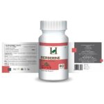 H&C Herbal Ingredients Berberine 90 Tablets (350 mg) For Immune Function, Glucose Metabolism and Gastrointestinal Function - Image 2