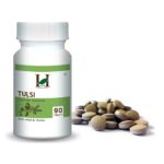 H&C Herbal Ingredients Tulsi 90 Tablets(350 mg) | Anti-Viral and For Detox Wellness, Respiratory Health, Immune System - Image 2