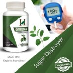 H&C Herbal Ingredients Expert Gurmar/Gymnema 450mg 120-Capsules| For Healthy Blood Sugar Levels | Metabolic Wellness - Image 2