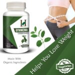 H&C Herbal Ingredients Expert Gurmar/Gymnema 450mg 120-Capsules| For Healthy Blood Sugar Levels | Metabolic Wellness - Image 3