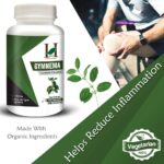 H&C Herbal Ingredients Expert Gurmar/Gymnema 450mg 120-Capsules| For Healthy Blood Sugar Levels | Metabolic Wellness - Image 4