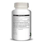 H&C Herbal Ingredients Expert Gurmar/Gymnema 450mg 120-Capsules| For Healthy Blood Sugar Levels | Metabolic Wellness - Image 5