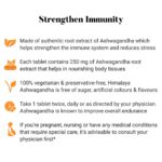 Himalaya Ashvagandha Tablet (60 Tablets) For General Wellness, Stress Relief, immunity, infections and diseases - Image 3