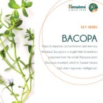 Himalaya Wellness Pure Herbs Brahmi 60 Tablets For Mind Wellness, mind calmness - Image 3
