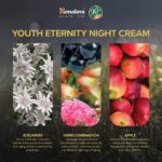 Himalaya Youth Eternity Night Cream (50 ml) For Women with Edelweiss, Apple extracts, fine lines and wrinkles - Image 3