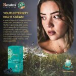 Himalaya Youth Eternity Night Cream (50 ml) For Women with Edelweiss, Apple extracts, fine lines and wrinkles - Image 5