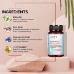 Jiva Ayurveda Sleep-Well (120 Tablets) For nervous system, Insomnia, brain's retention power - Image 5