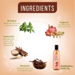 JIva Ayurveda Bhringraj Hair Oil (120ml) For Hair Growth, hair loss, hair damage, premature greying of hair - Image 3