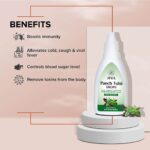 Jiva Ayurveda Tulsi Drops - 20 ml For Immunity cough, cold, sore throat and nasal congestion - Image 2