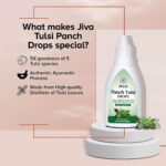 Jiva Ayurveda Tulsi Drops - 20 ml For Immunity cough, cold, sore throat and nasal congestion - Image 3
