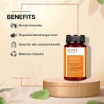 Jiva Ayurveda Turmeric Capsule - 60 Capsules For Immunity and Overall Health, blood sugar levels - Image 4