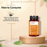 Jiva Ayurveda Turmeric Capsule - 60 Capsules For Immunity and Overall Health, blood sugar levels - Image 6