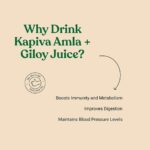 KAPIVA AMLA+GILOY JUICE 1L for immunity-boosting, gastric inflammation, chronic fever, other infections - Image 7
