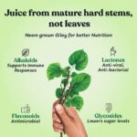 KAPIVA GILOY JUICE 1L for immunity booster, improving skin health - Image 5