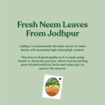 KAPIVA NEEM JUICE 1 L for indigestion, constipation, pain relieving - Image 7