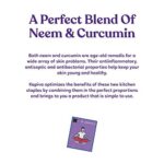 KAPIVA NEEM + SKIN GLOW CAPSULES 60 CAPS for purify your blood, lines, wrinkles, dark circles - Image 7