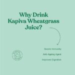 KAPIVA WHEAT GRASS JUICE 1 L for boosts your immunity, improved digestion - Image 4