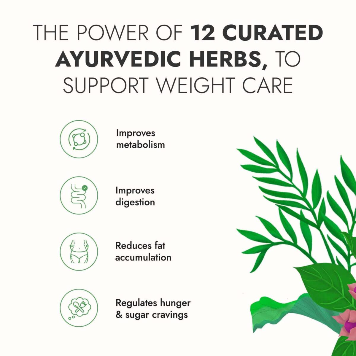 KAPIVA GET SLIM JUICE 1 L for boosting metabolism, relieving constipation, Maintains healthy muscles and joints - Image 3